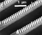 Lunds nanotransistor: Byter vd – tar in pengar
