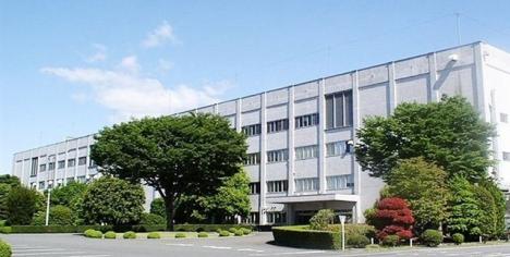 Renesas skrotar kiselkarbidplaner