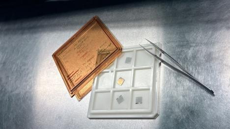 Chalmers nya vätgassensor trivs bra i fukt