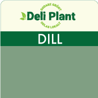 Dill