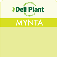 Mynta